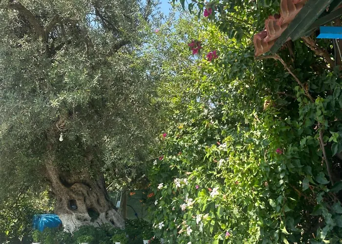 Vasil Country house Lukove