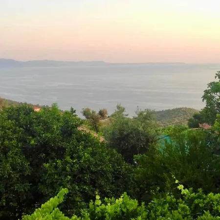 Kır Evi Vasil *