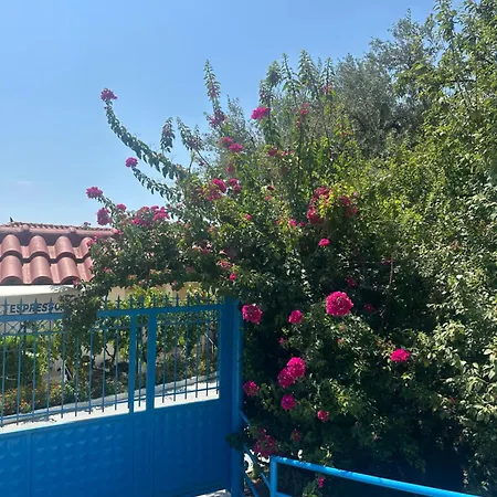 Hétvégi ház Vasil