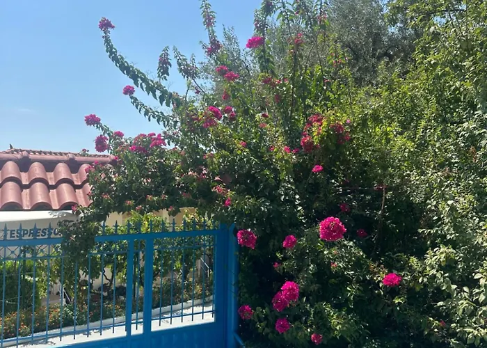 Gospodarstwo wiejskie Vasil